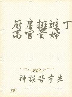 厨房挺进丁字裤高官贵妇