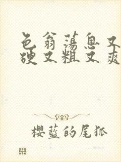 色翁荡息又大又硬又粗又爽