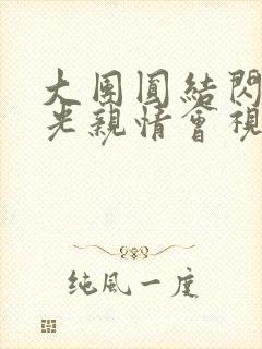 大团圆结闪闪发光亲情会视频