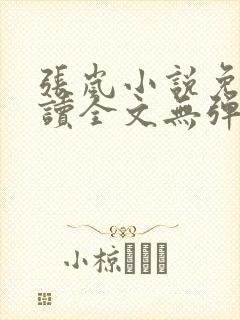 张岚小说免费阅读全文无弹窗