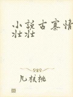 小说古寨情缘安壮壮