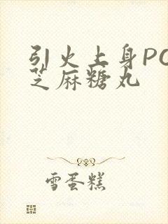 引火上身POP芝麻糖丸