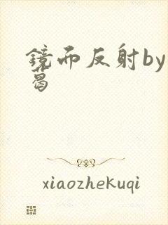 镜面反射by九葛