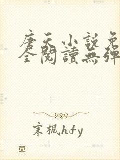 唐天小说免费大全阅读无弹窗