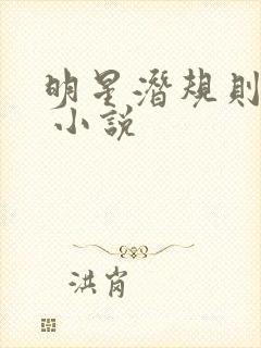 明星潜规则之皇 小说