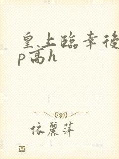 皇上临幸后宫np高h