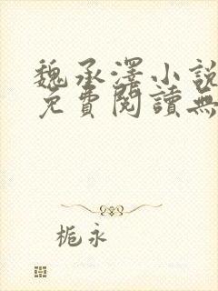 魏承泽小说全文免费阅读无弹窗笔趣