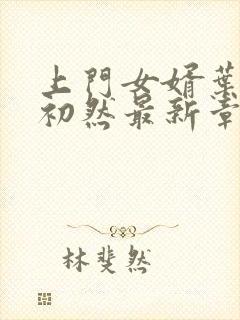 上门女婿叶辰萧初然最新章节免费阅读