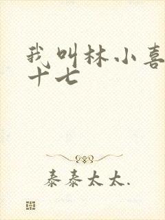 我叫林小喜今年十七