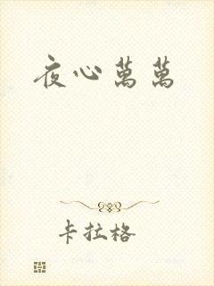 夜心万万封面