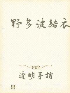 野多波结衣