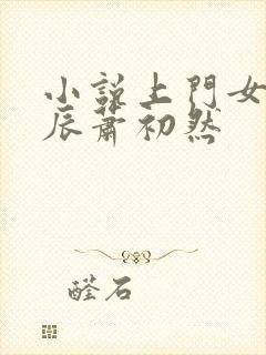 小说上门女婿叶辰萧初然