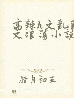 高辣h文乱乳h文浪荡小说苏柔封面