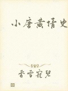 小唐黄倩史