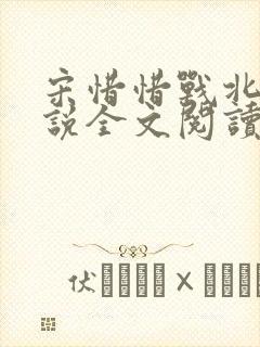 宋惜惜战北望小说全文阅读