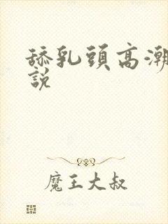 舔乳头高潮的小说