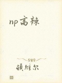 np高辣