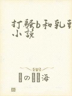 打骚b和乳头的小说