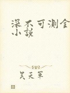 深不可测金银花小说