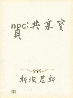 npc:共享宝贝