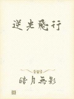 逆光飞行