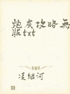 炮灰攻略无删减版txt