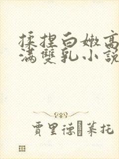 揉捏白嫩高耸饱满双乳小说