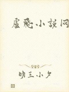 卢飞小说网封面