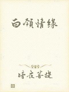 白领情缘