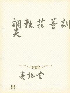 调教花蒂训诫从夫封面