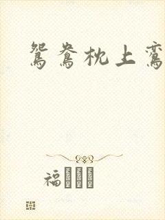 鸳鸯枕上鸾凤颠封面