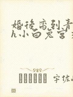 婚后脔到青梅哭h小白兔宫交h