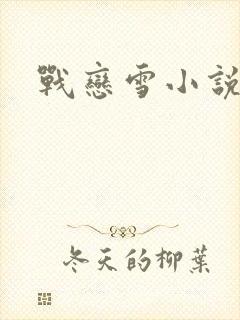 战恋雪小说封面