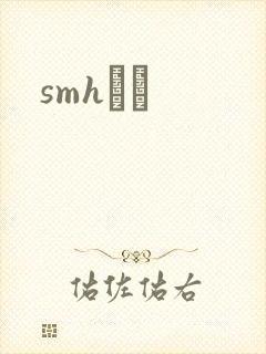 smhС˵封面