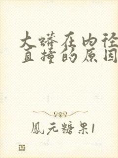 大蟒在内径横冲直撞的原因封面