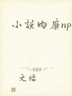 小说肉糜np