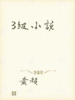 3级小说封面