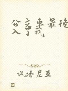 公交车最后一排入了我