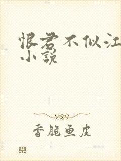 恨君不似江楼月小说封面