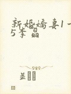新婚娇妻1一25李晶封面