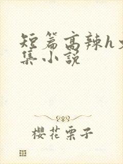 短篇高辣h文合集小说