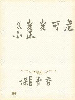 《岌岌可危》夏小正封面