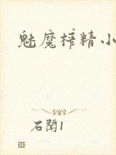 魅魔榨精小说封面