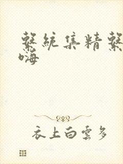 系统集精系统高嗨封面