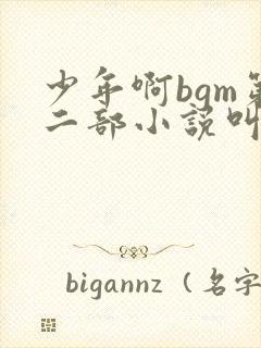 少年啊bgm第二部小说叫什么