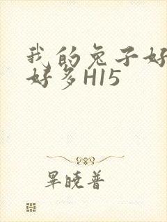 我的兔子好软水好多H15