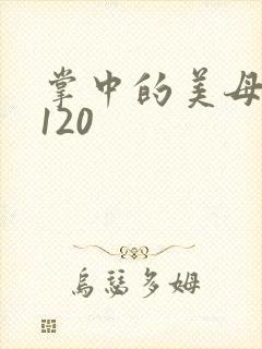 掌中的美母版主120