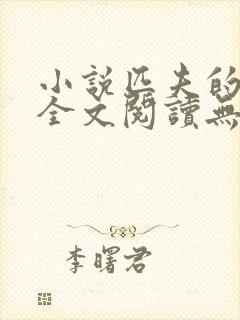 小说匹夫的逆袭全文阅读无弹窗