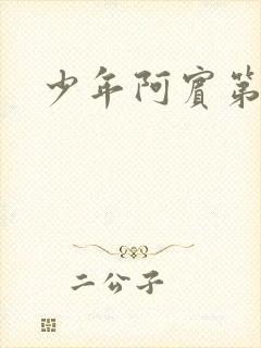 少年阿宾第二部