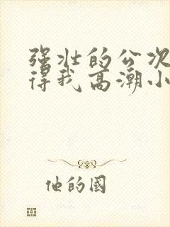 强壮的公次次弄得我高潮小说封面